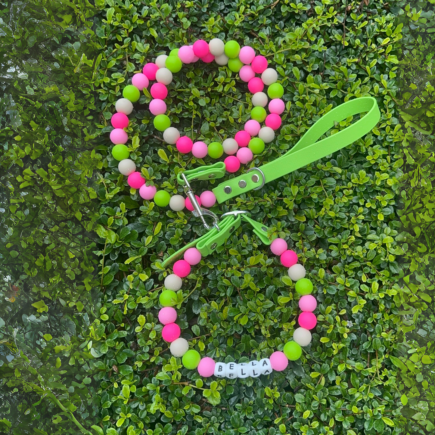 Beaded dog leash and collar with a green strap on a green leafy background