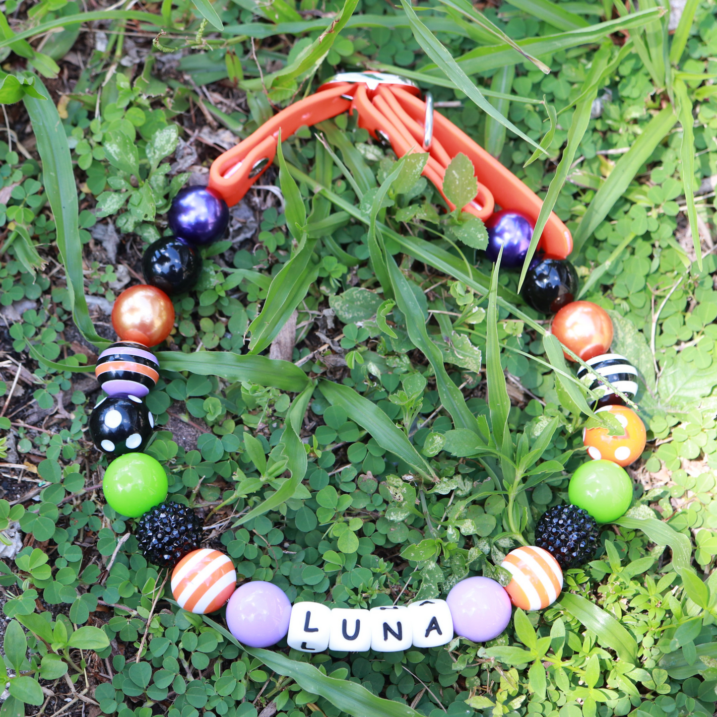 Custom Thanksgiving Dog Collar