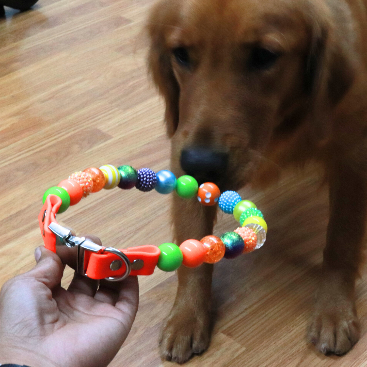 Isabella Ready to Wear - Collar para perro con cuentas