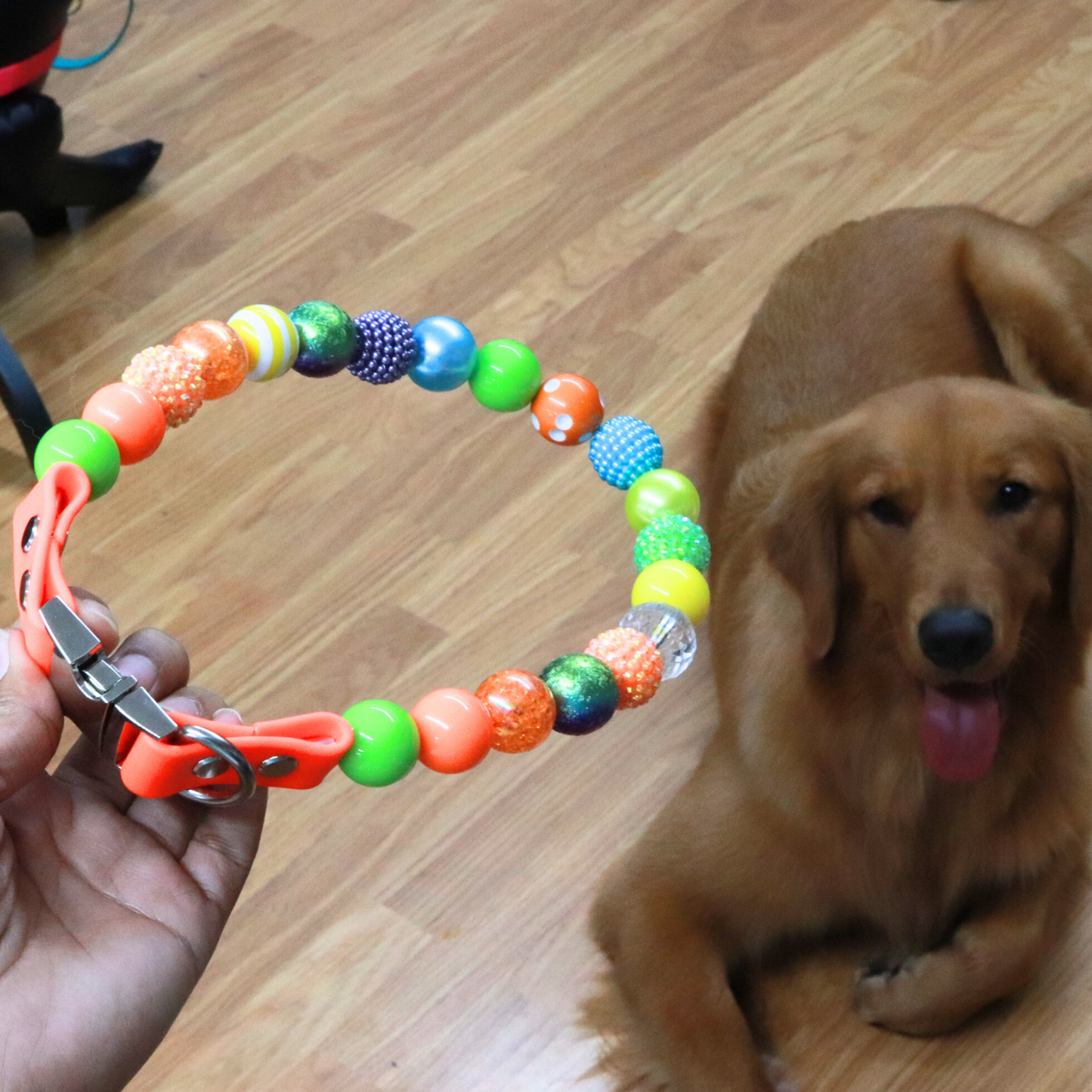 Isabella Ready to Wear - Collar para perro con cuentas