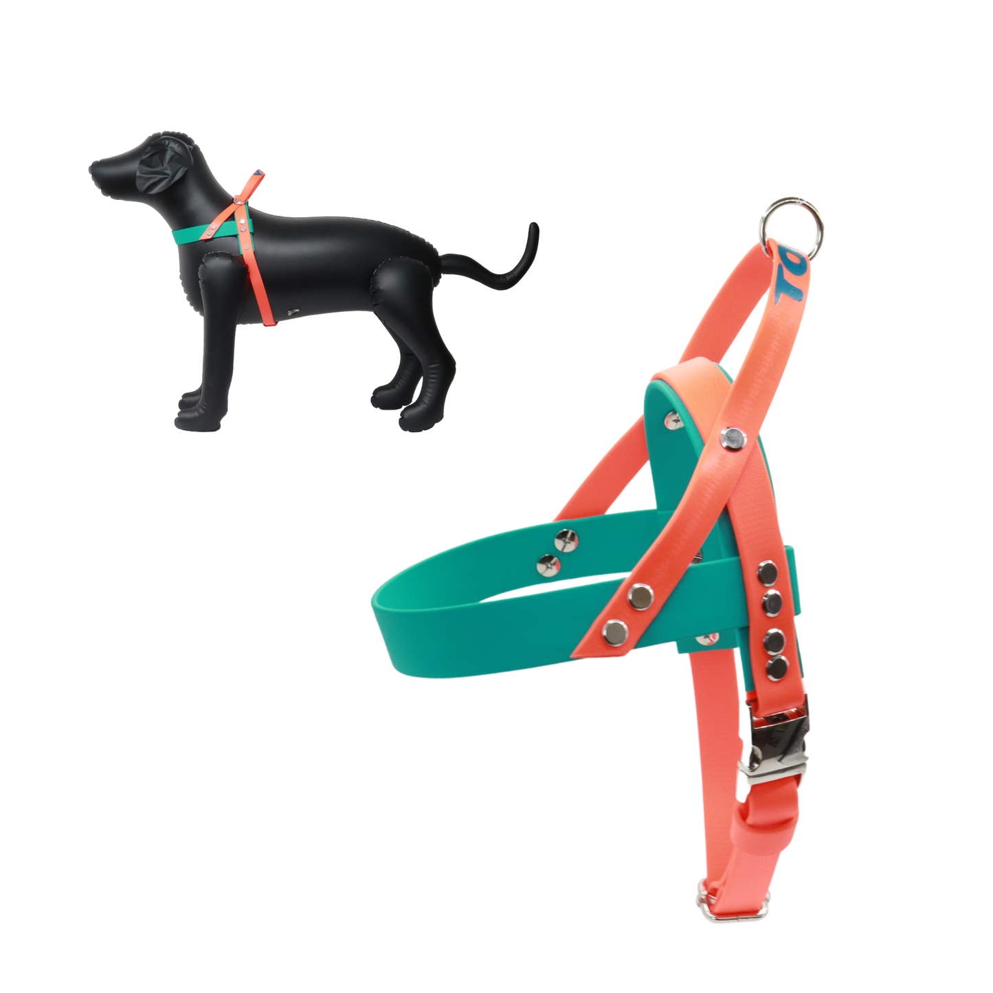 Personalized Dog Harness