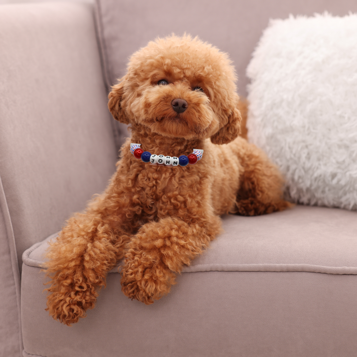 ¡Diseña tu propio collar AJUSTABLE para perros o gatos! Nombre, cuentas y correa personalizados