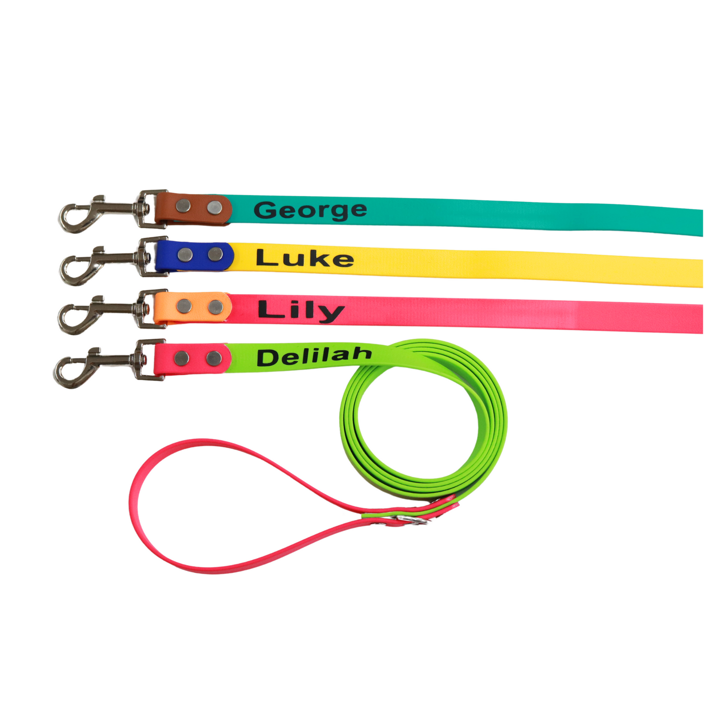 Custom Name Leash for Dogs-Two tone Biothane®