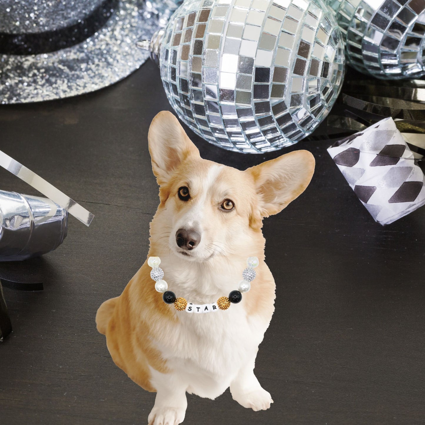 Custom New Year Dog Collar-Adjustable