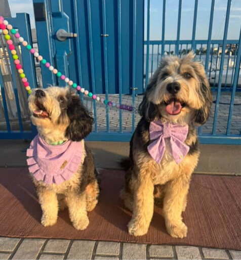 Beaded dog leash