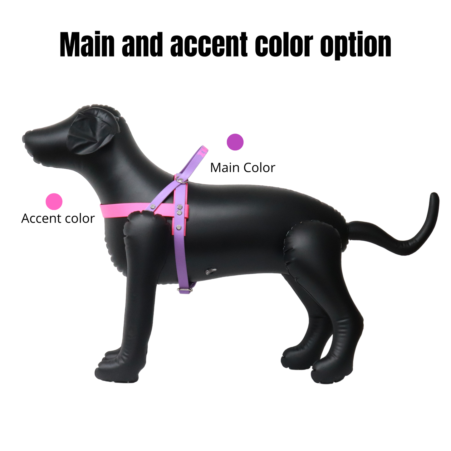 Personalized Dog Harness