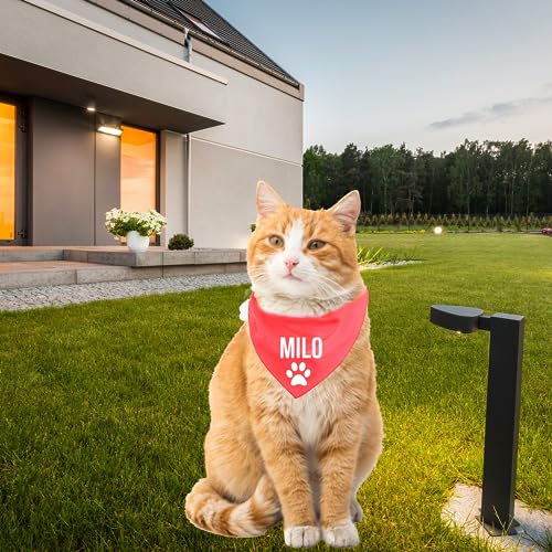 Bandana personalizada para gatos