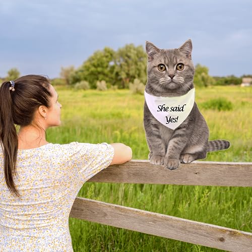 Bandana personalizada para gatos