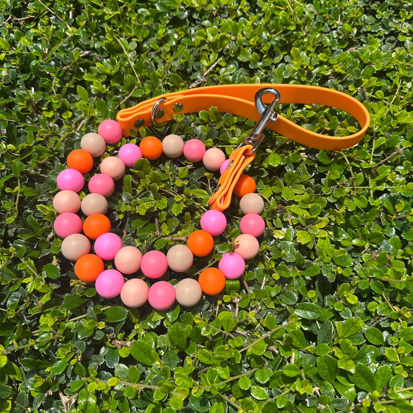 Beaded dog leash