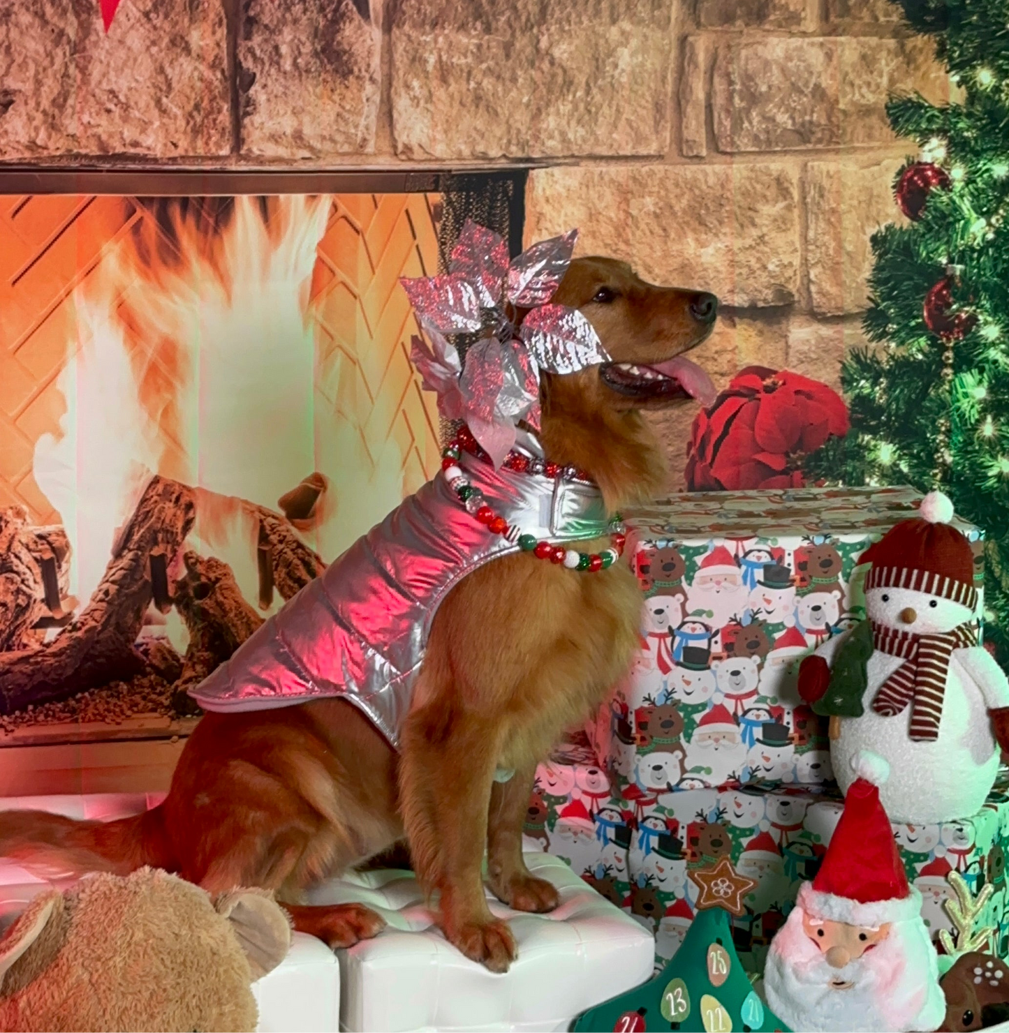 El collar navideño de Isabella