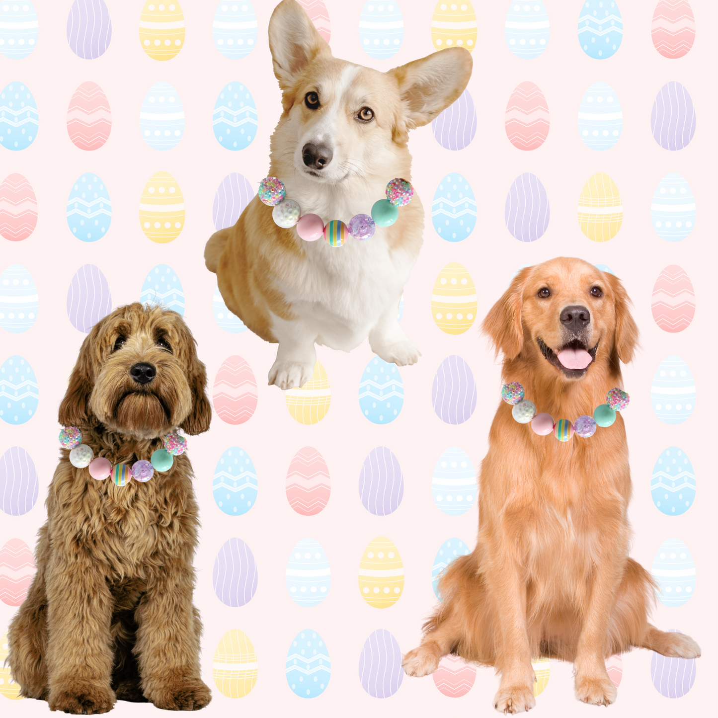 Easter Beaded Name Dog Collar- Adjustable