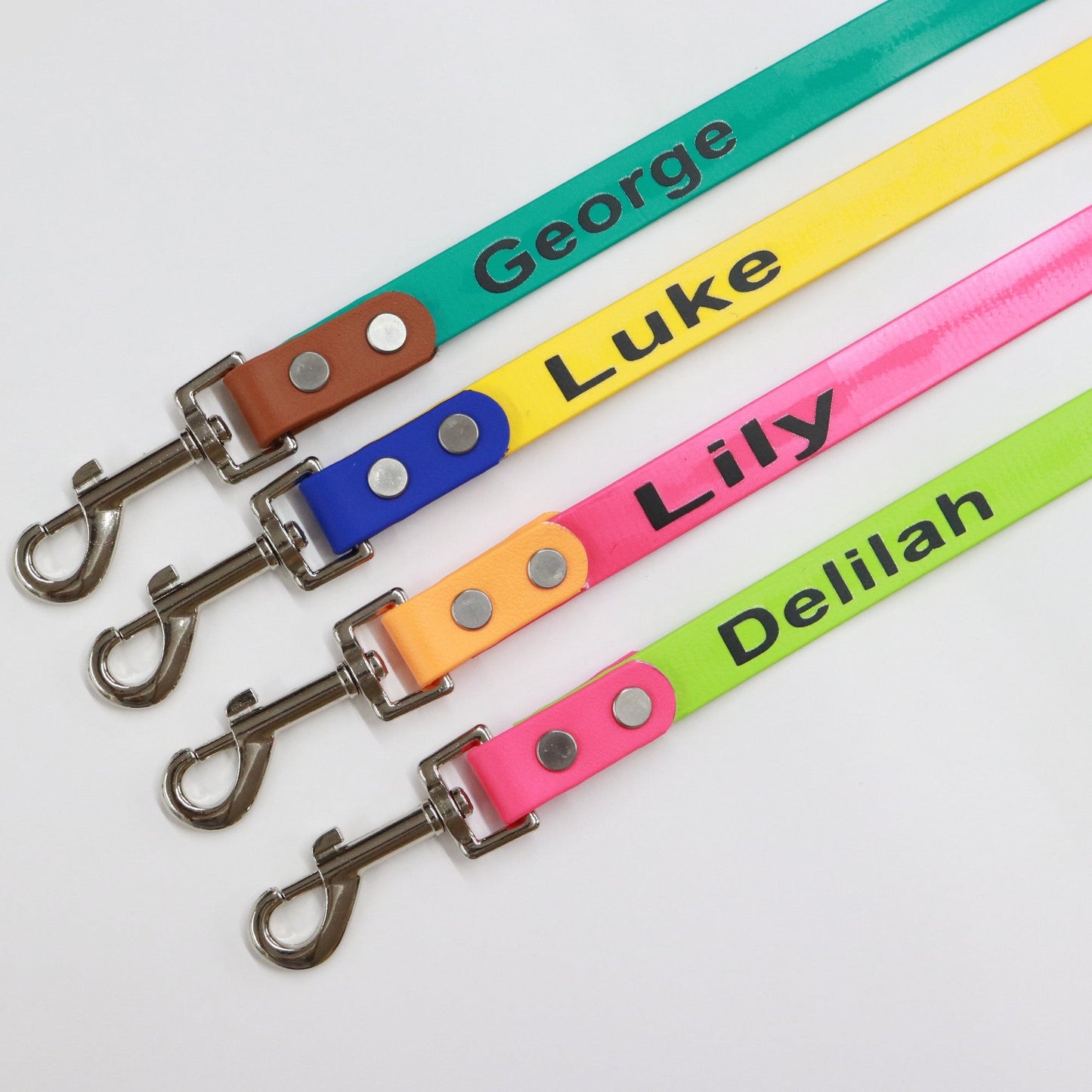 custom name leash for dogs