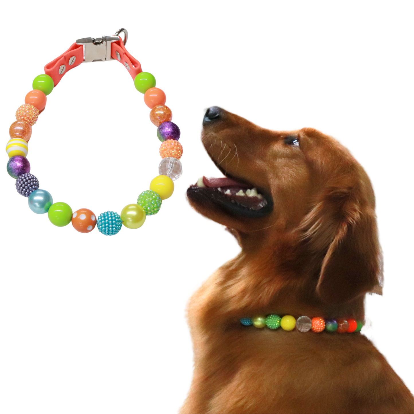 Isabella Ready to Wear - Collar para perro con cuentas