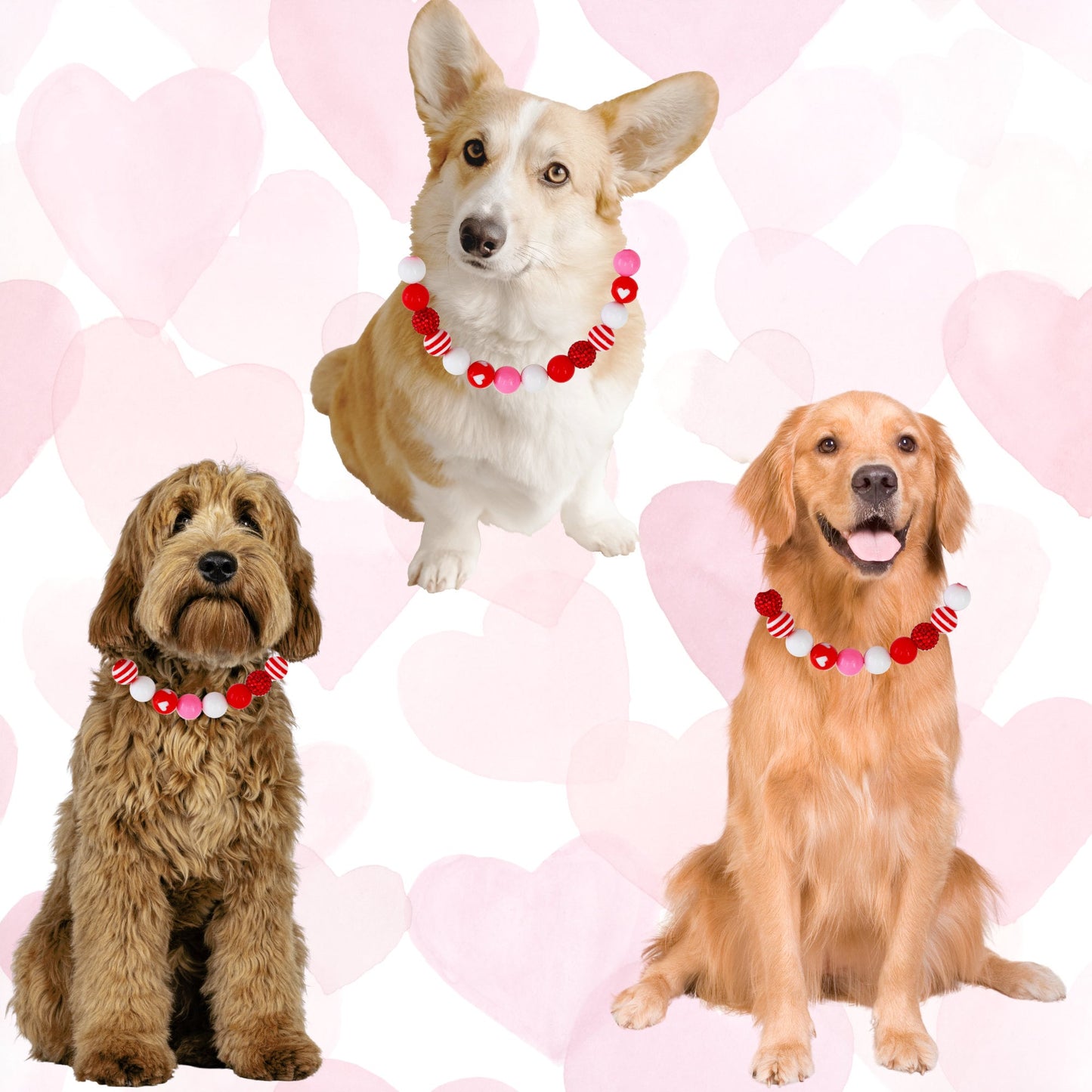 Collar de perro con cuentas para el día de San Valentín