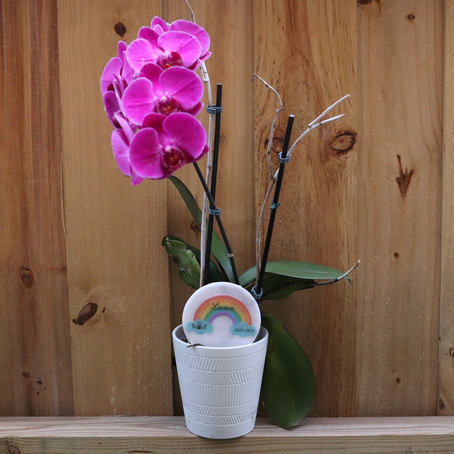 Piedra conmemorativa para mascotas: Piedra de jardín Rainbow Bridge