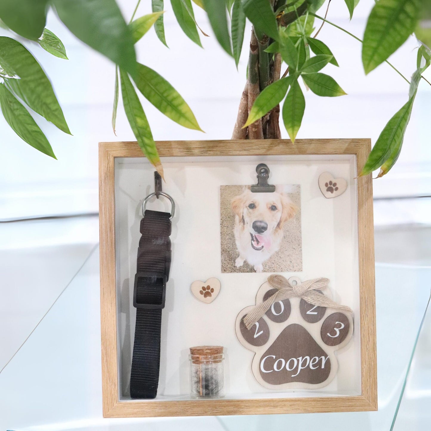 Caja de sombras conmemorativa personalizada para mascotas