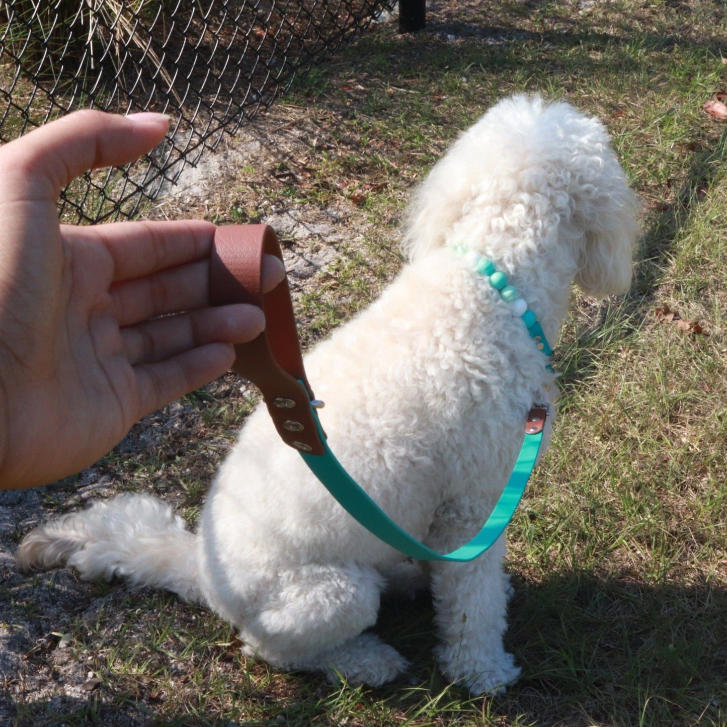 Two tone Biothane® Regular Dog Leash