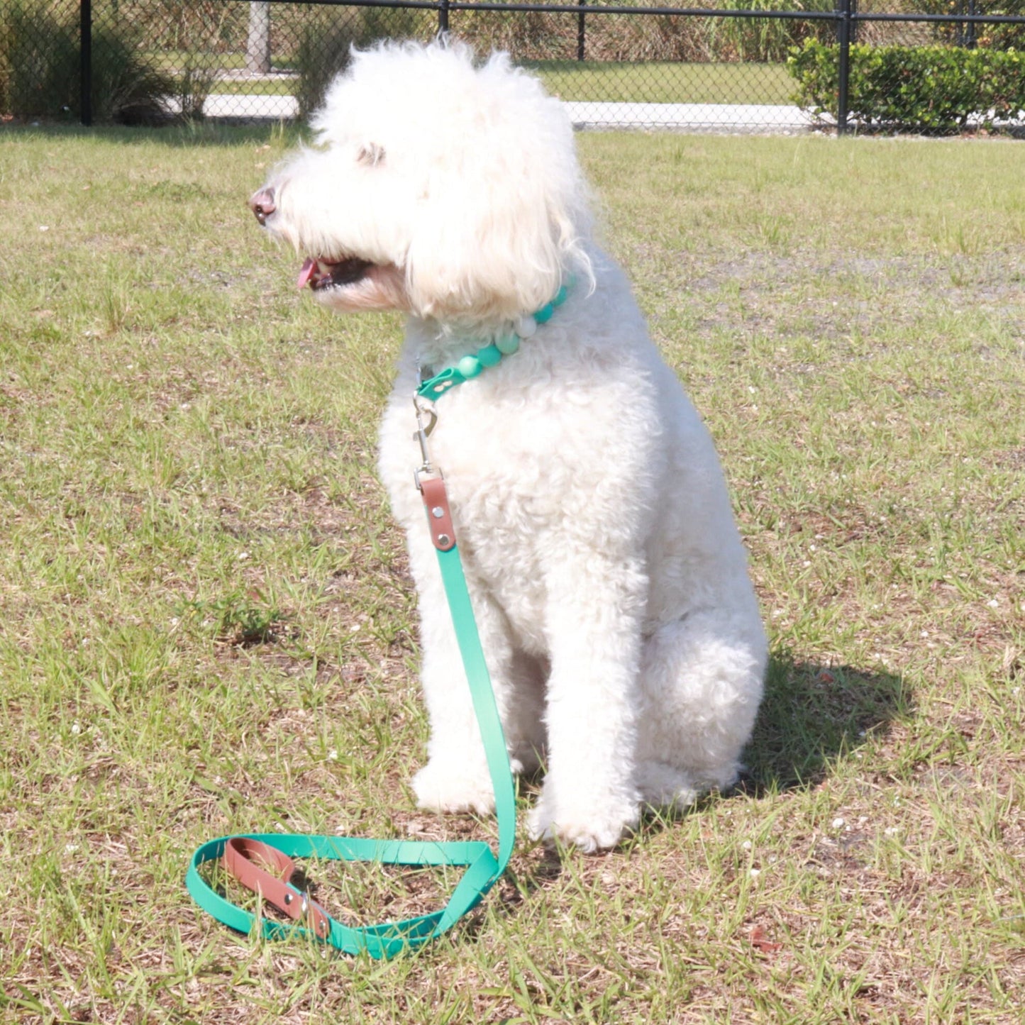 Two tone Biothane® Regular Dog Leash