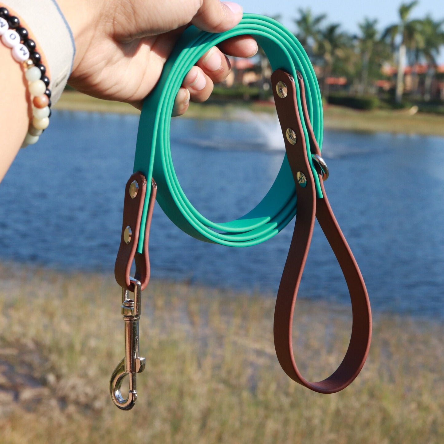 Two tone Biothane® Regular Dog Leash