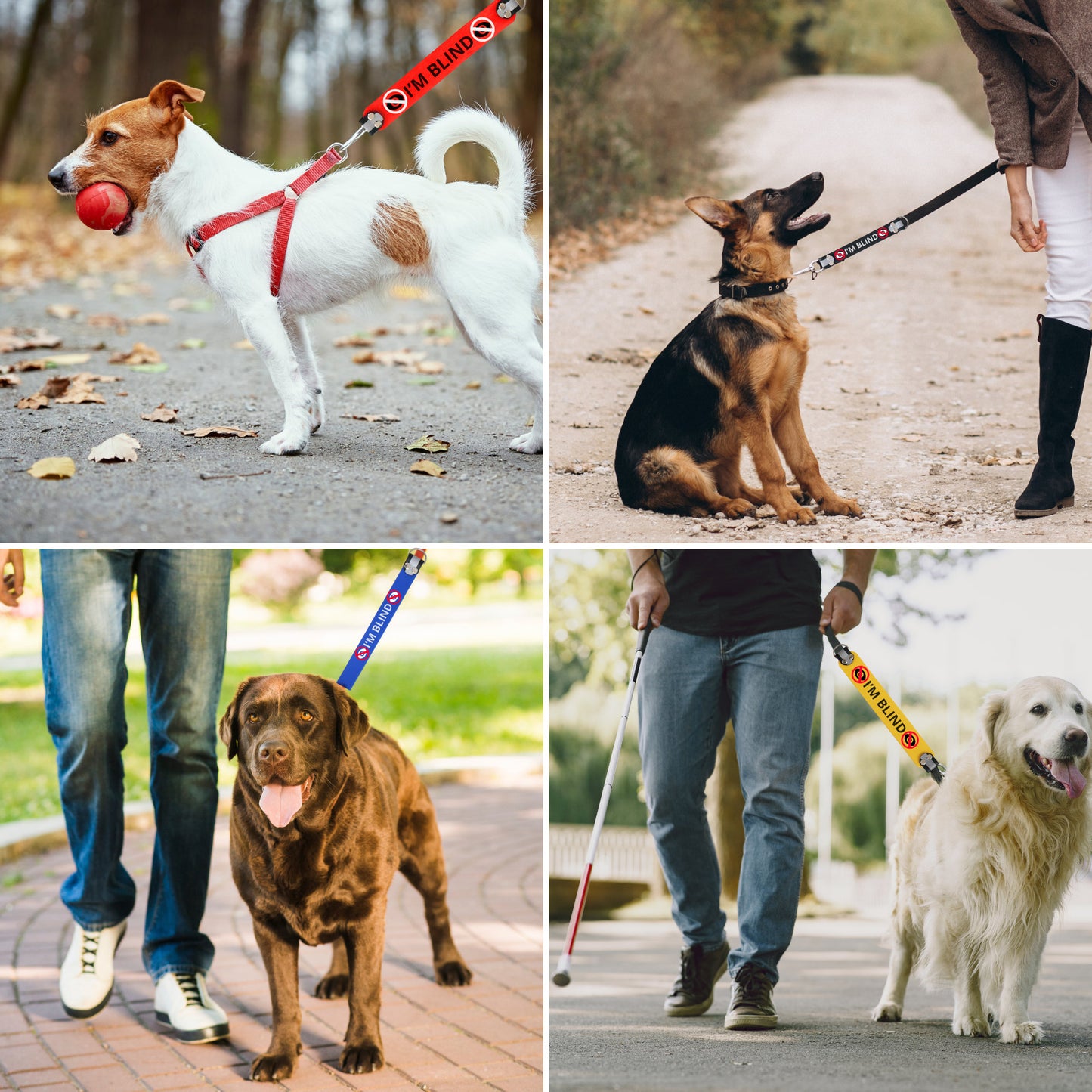 Extensor de correa para perros personalizado