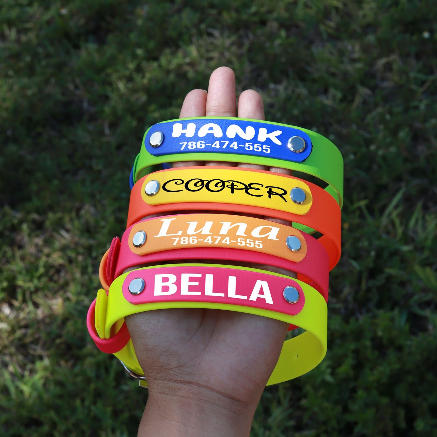 Custom Summer Dog Collar, Biothane®
