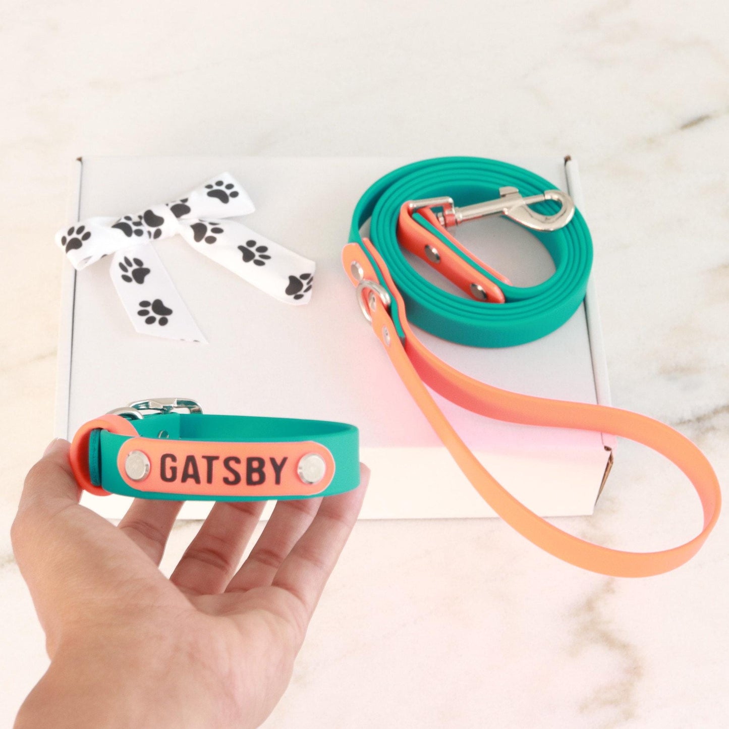 Custom Leash and Collar set-Biothane®
