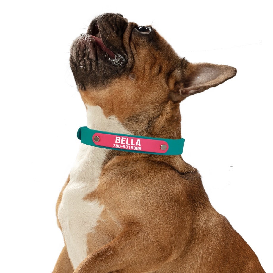 Custom Leash and Collar set-Biothane®