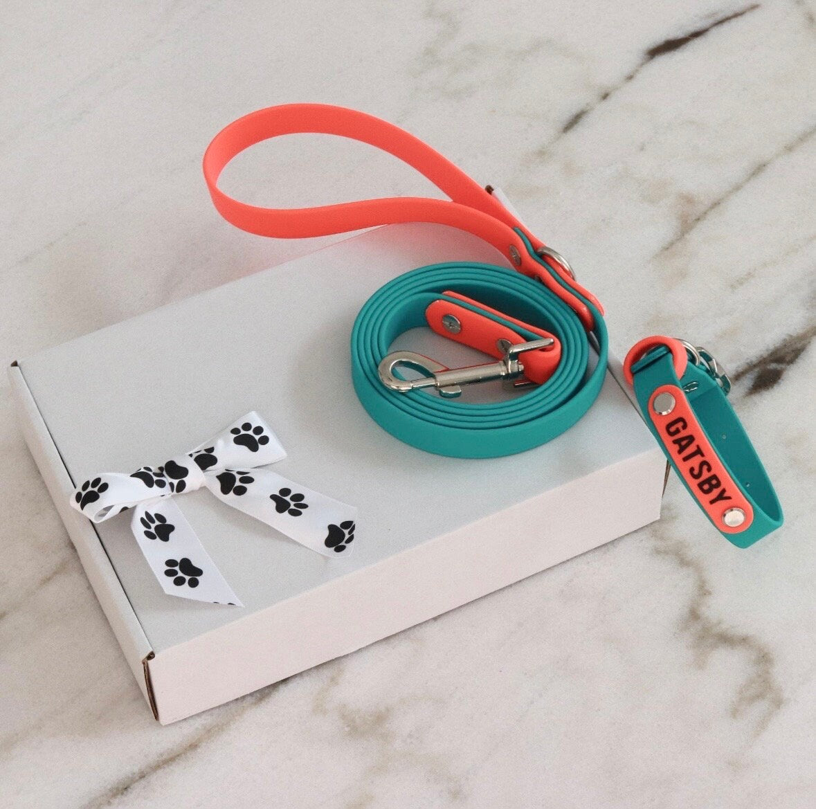 Custom Leash and Collar set-Biothane®