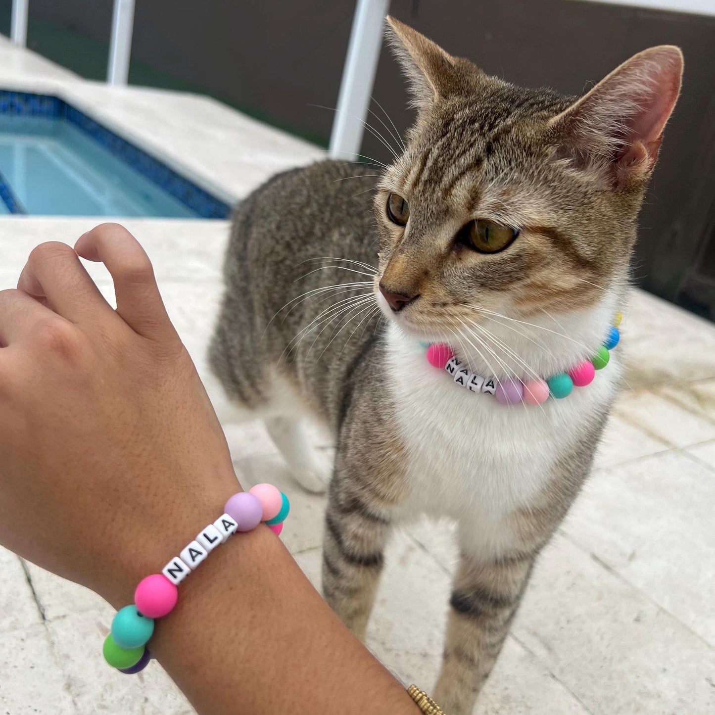 Conjunto de gato y dueño a juego