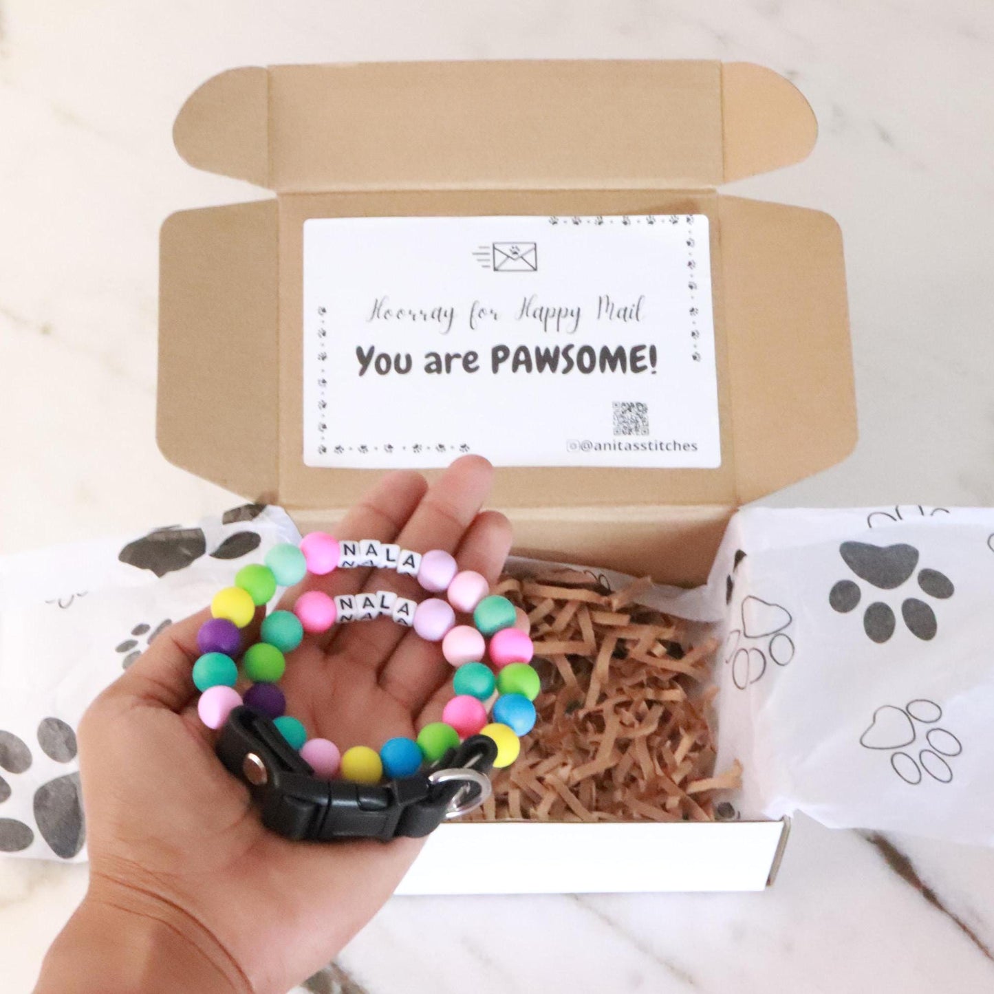 Conjunto de gato y dueño a juego