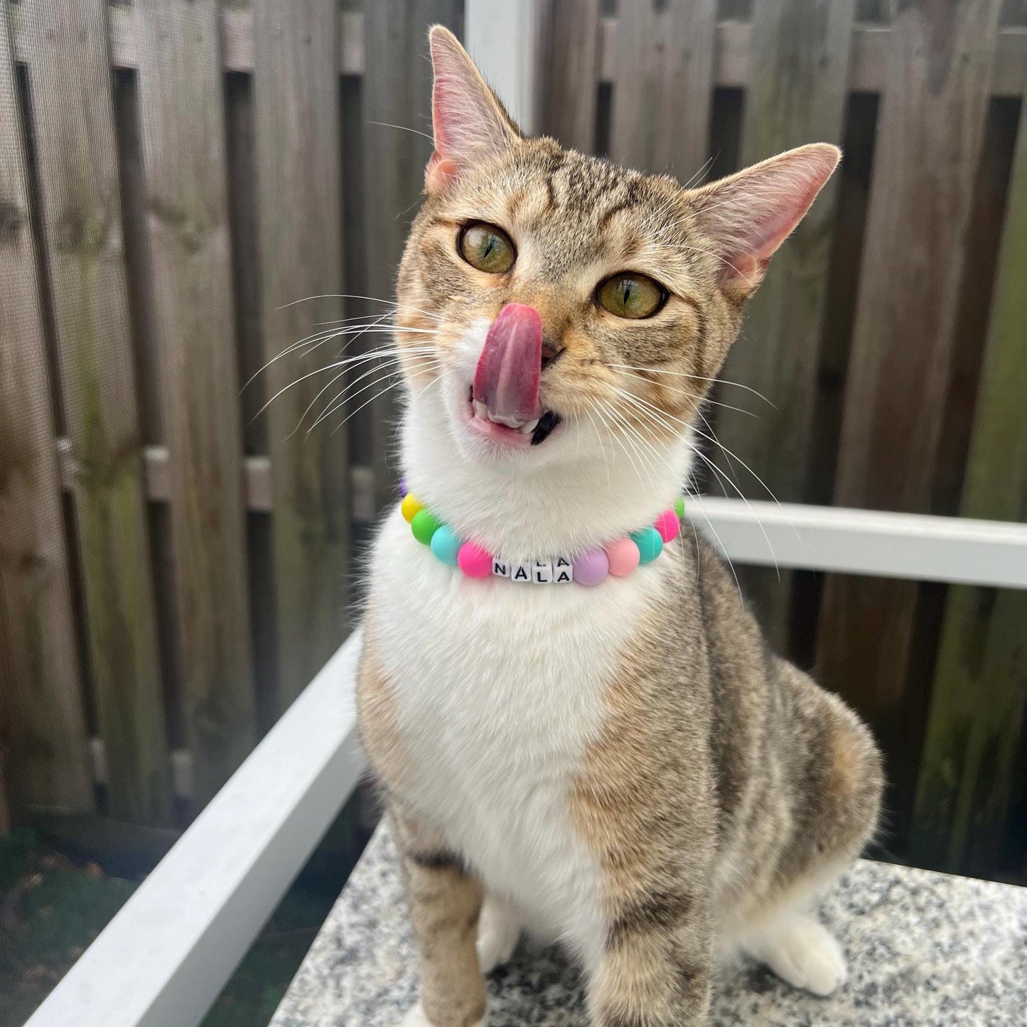 Conjunto de gato y dueño a juego