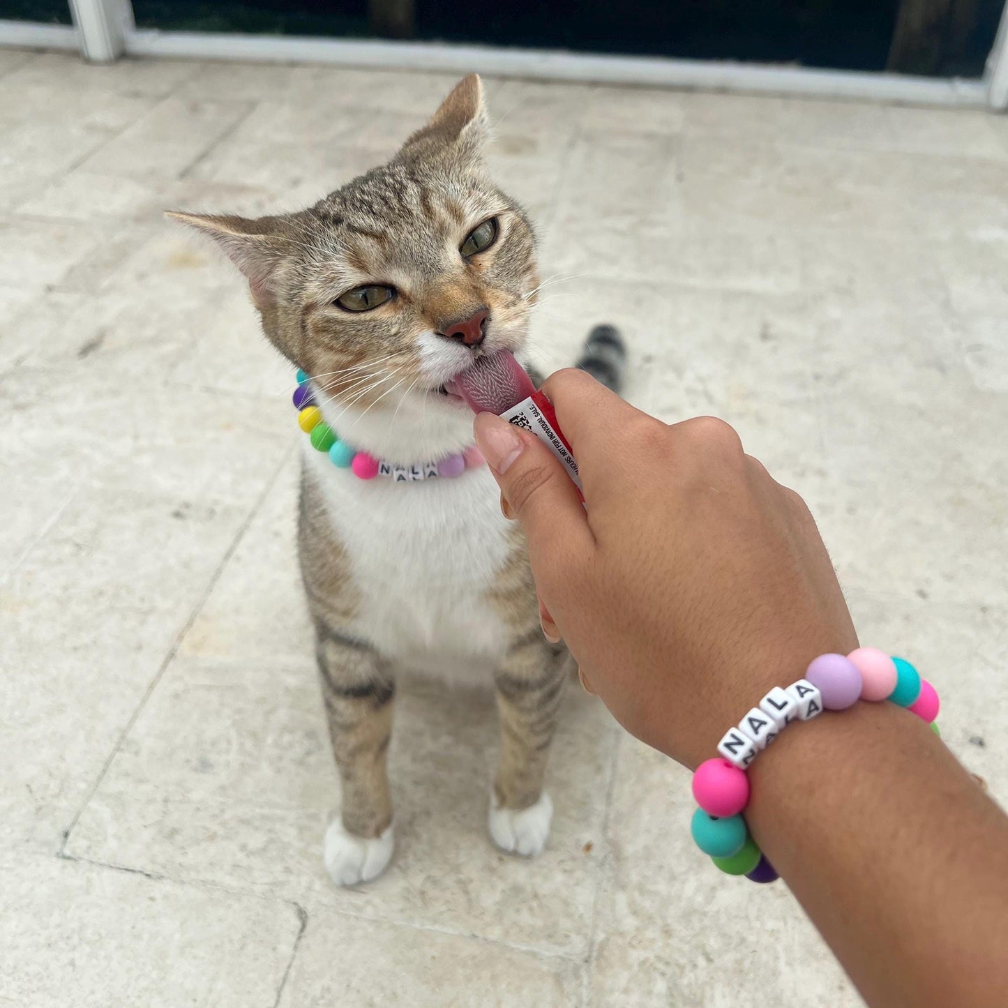 Conjunto de gato y dueño a juego