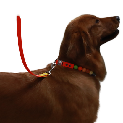 Isabella Ready to Wear- Leash