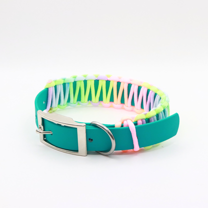 Easter Dog Collar- Biothane®