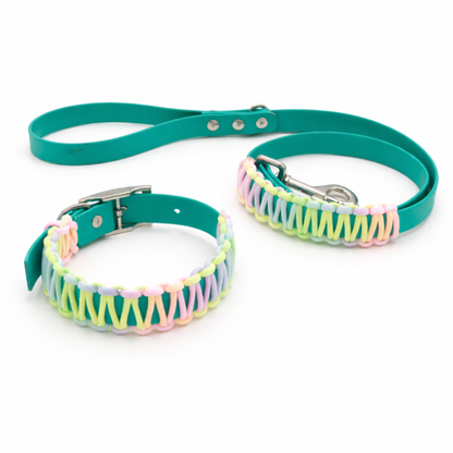 Easter leash and Collar set-Biothane®
