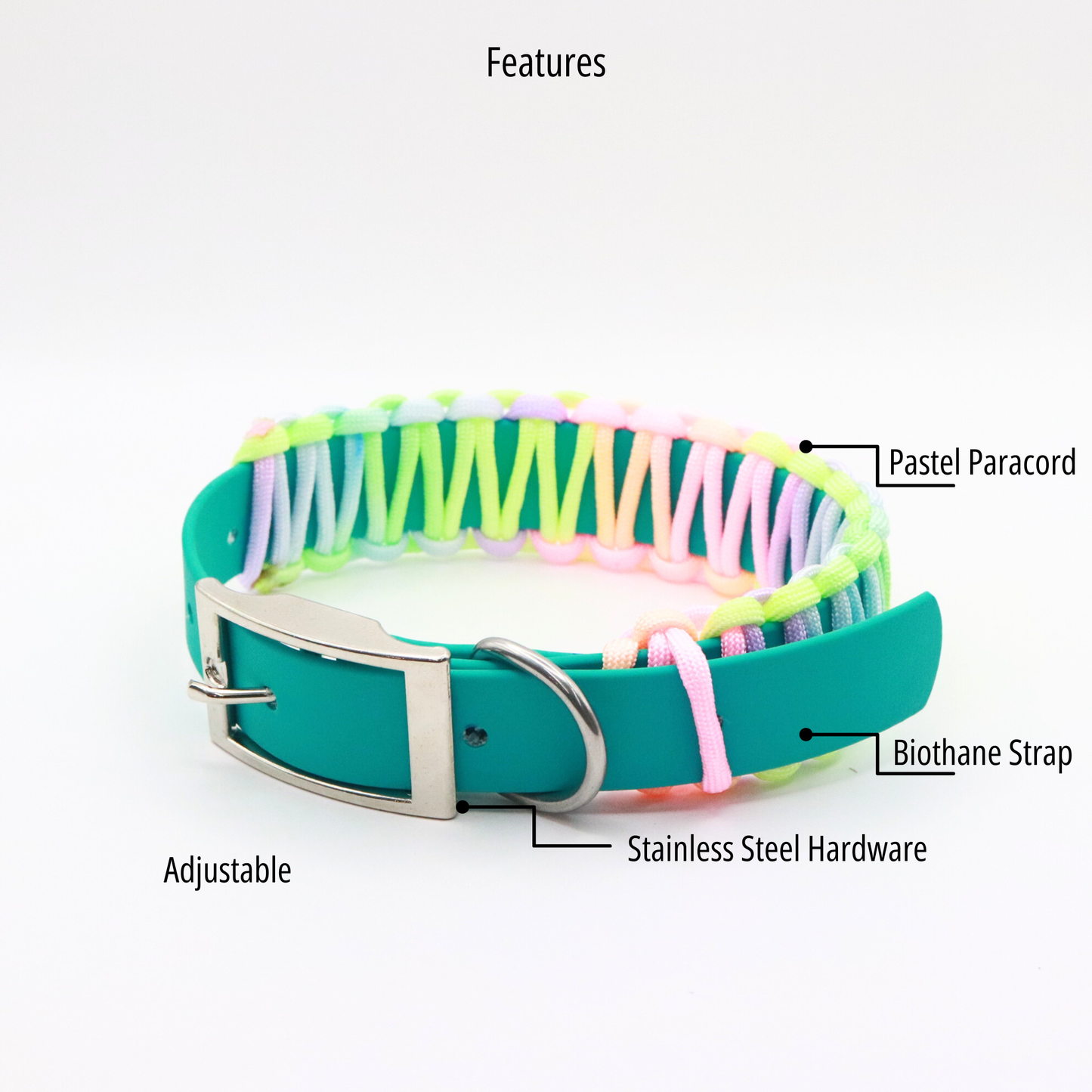 Easter leash and Collar set-Biothane®