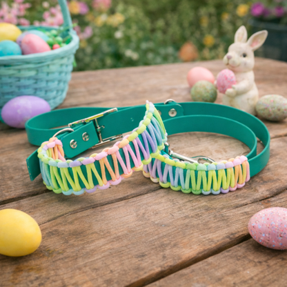 Easter leash and Collar set-Biothane®