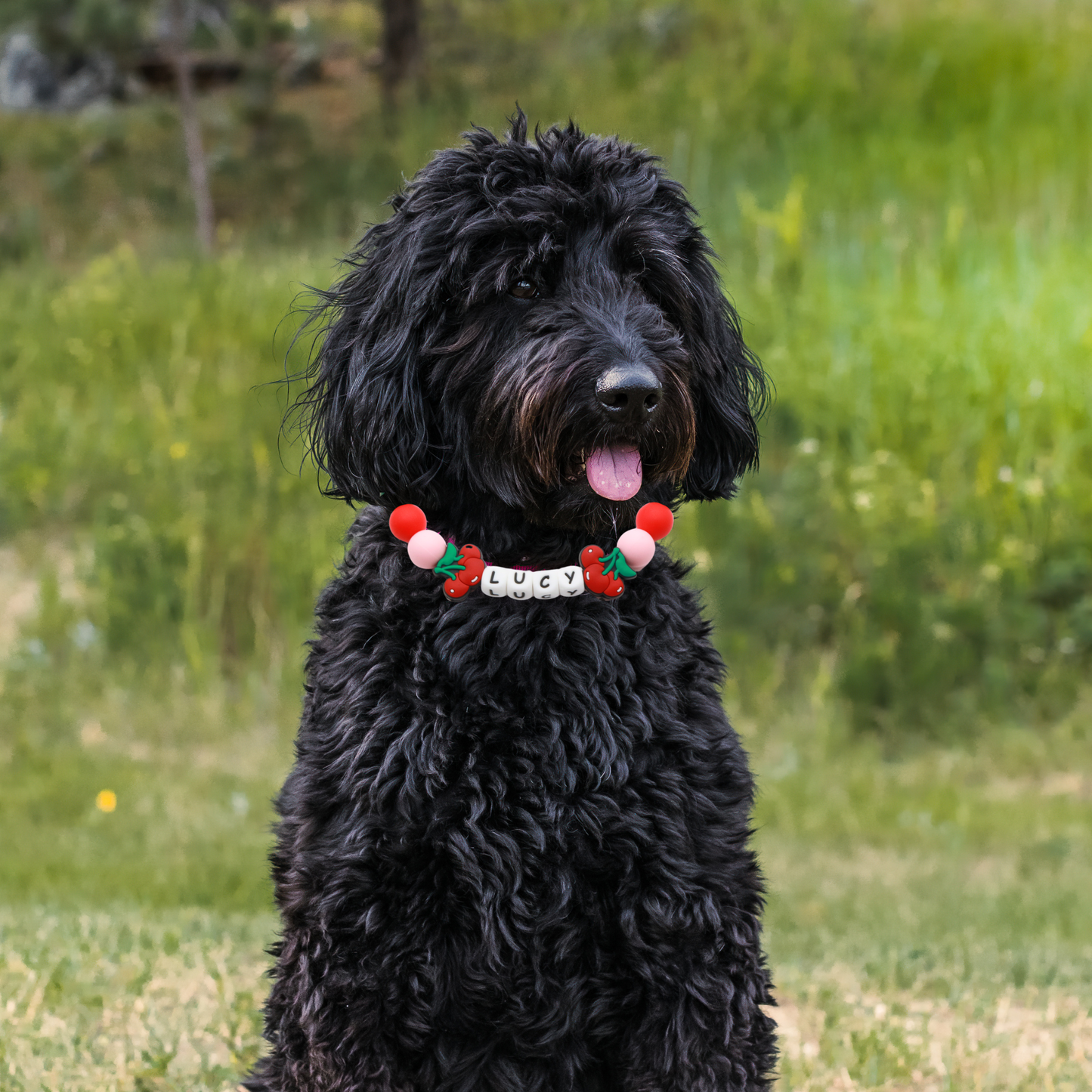 Beaded Name Cherry Dog Collar - Adjustable Red Strap