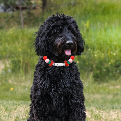 Beaded Name Cherry Dog Collar - Adjustable Red Strap