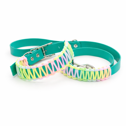 Easter leash and Collar set-Biothane®