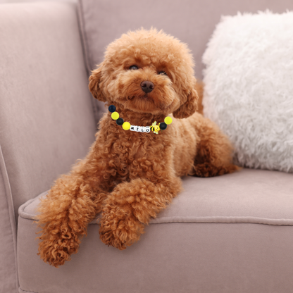 Beaded Name Bee Dog Collar - Quick Release Black Strap