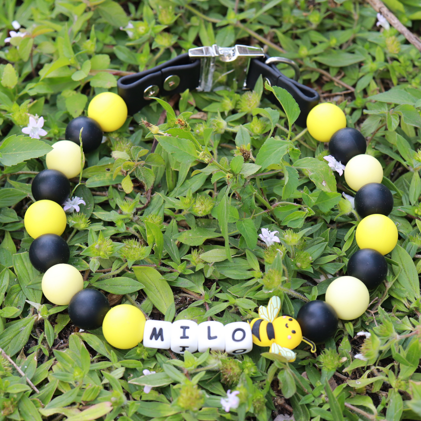 Beaded Name Bee Dog Collar - Quick Release Black Strap