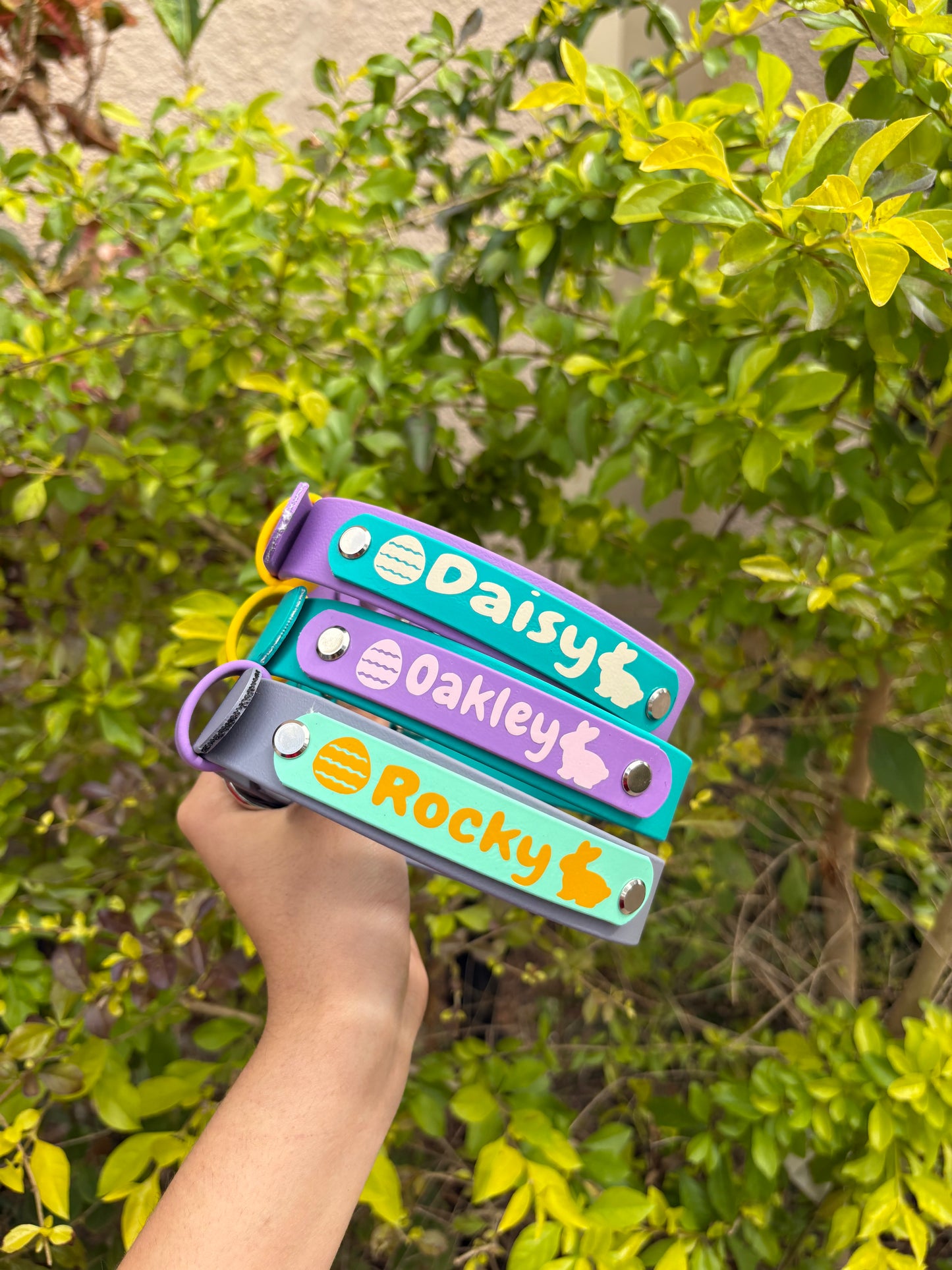 Easter Biothane® Dog Collar - Custom Name