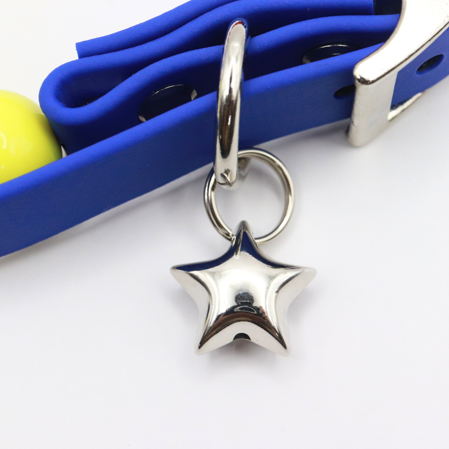 Venezuela Set - Leash and Collar