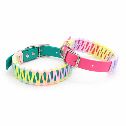 Easter Dog Collar- Biothane®