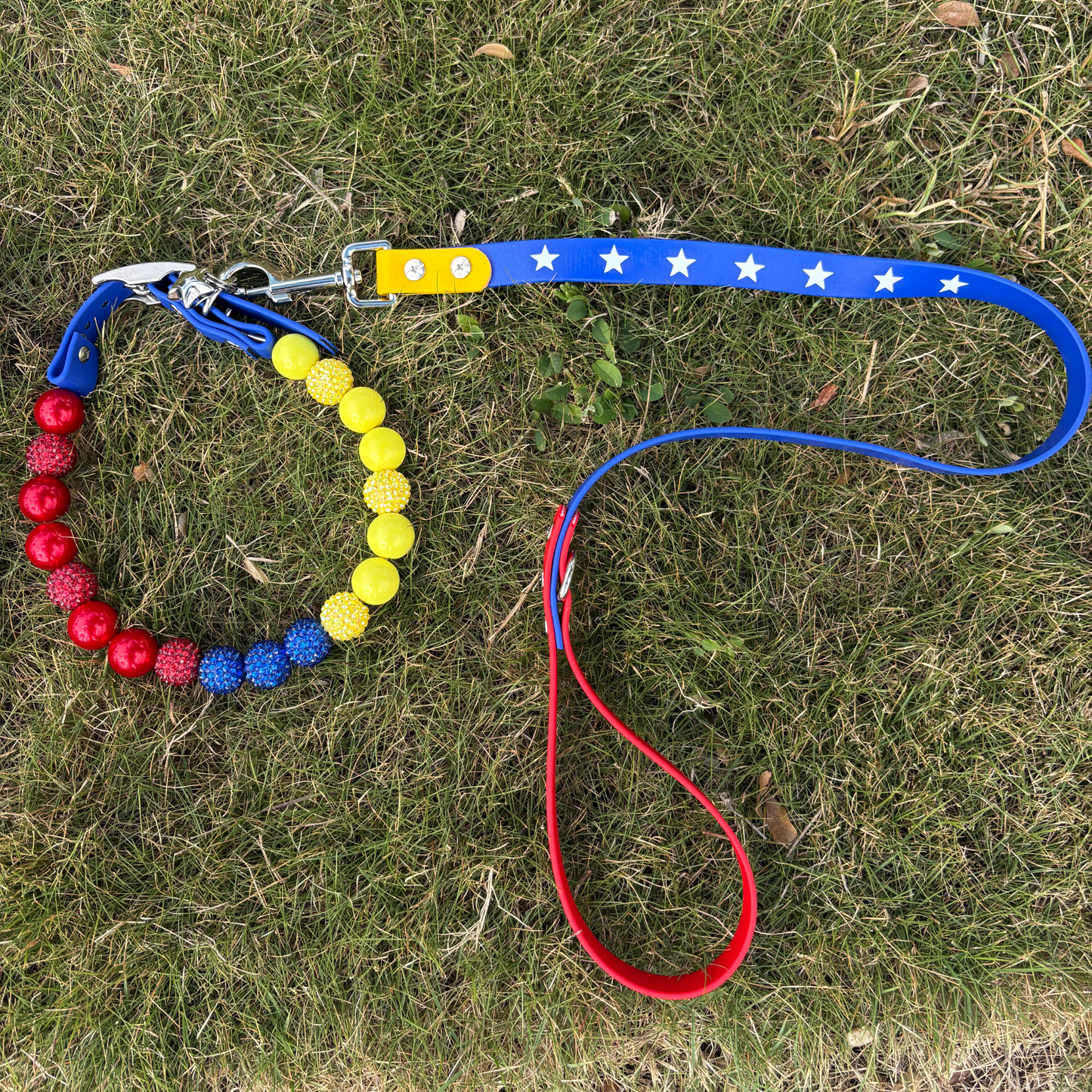 Venezuela Set - Leash and Collar