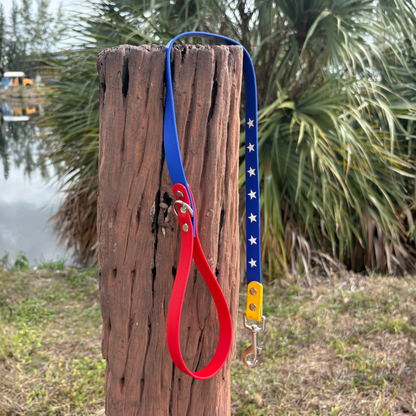 Venezuela Set - Leash and Collar