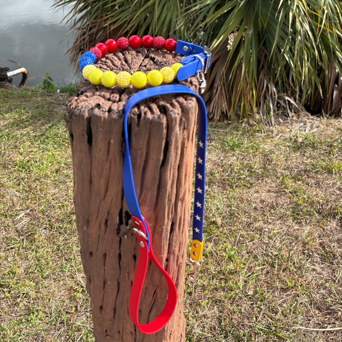 Venezuela Set - Leash and Collar