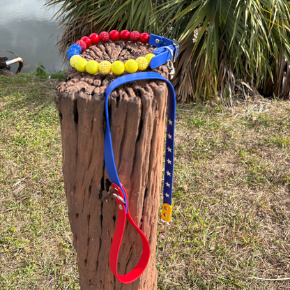 Venezuela Set - Leash and Collar