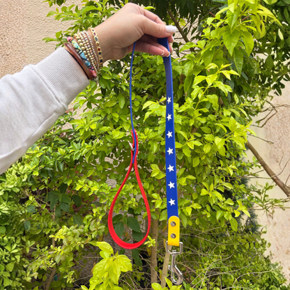 Venezuela Set - Leash and Collar